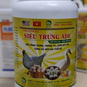 SIÊU TRỨNG ADE | NHÓM DINH DƯỠNG BỔ SUNG CÔNG NGHỆ BAO VIÊN