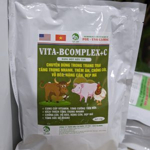 VITA - BCOMPLEX + C (DẠNG BỘT SIÊU TAN) | NHÓM DINH DƯỠNG BỔ SUNG CÔNG NGHỆ BAO VIÊN