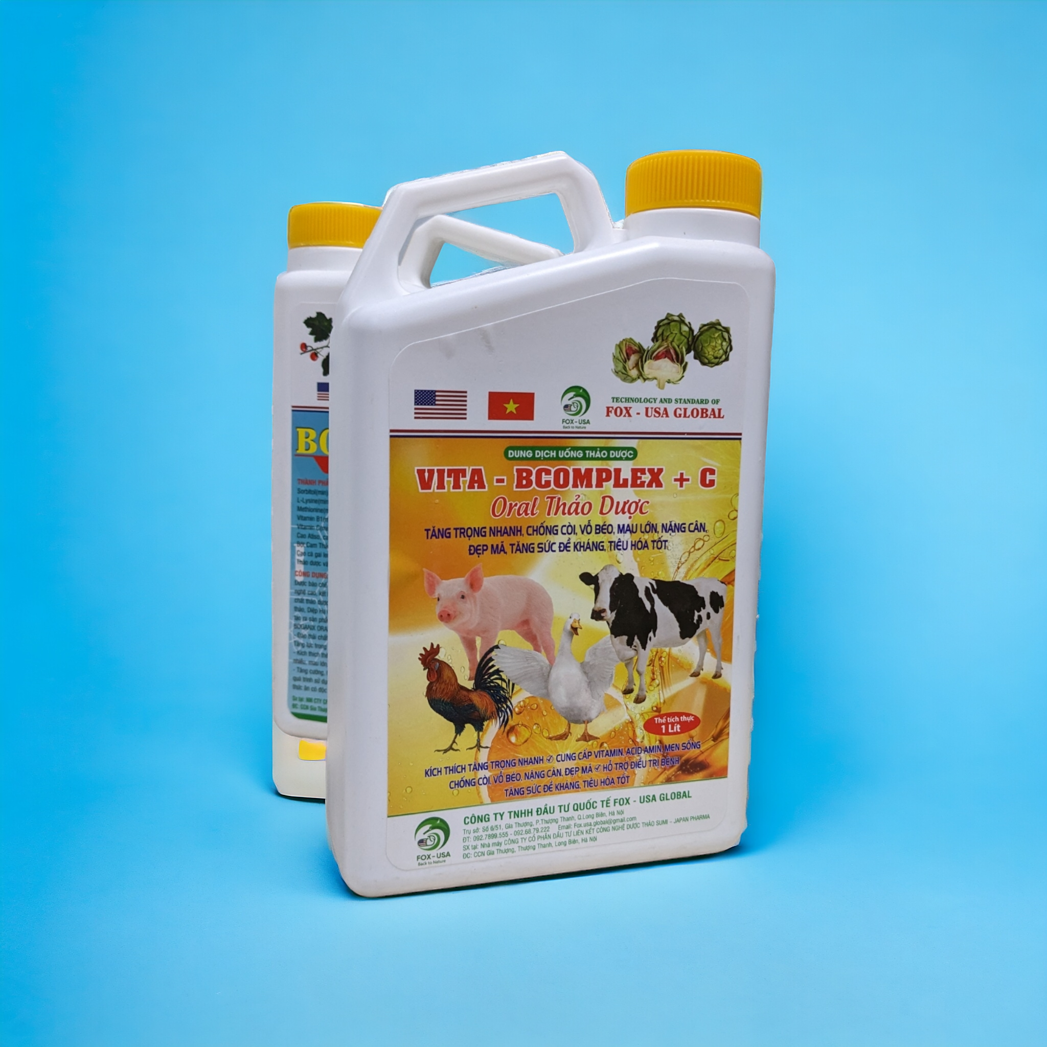 VITA-BCOMPLEX+C | NHÓM DINH DƯỠNG BỔ SUNG HỖ TRỢ ĐIỀU TRỊ BỆNH DẠNG DUNG DỊCH UỐNG - Ảnh 4