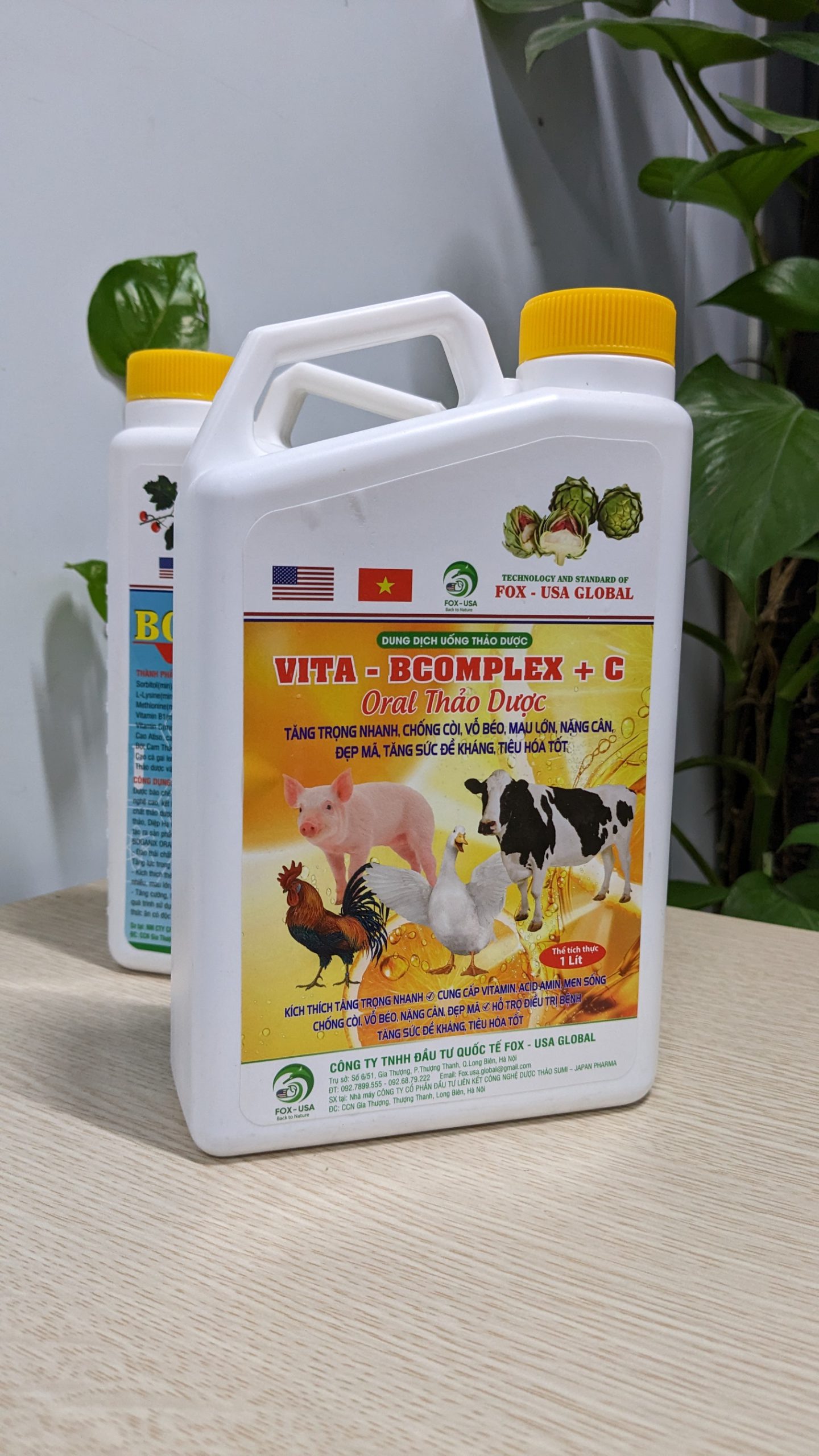 VITA-BCOMPLEX+C | NHÓM DINH DƯỠNG BỔ SUNG HỖ TRỢ ĐIỀU TRỊ BỆNH DẠNG DUNG DỊCH UỐNG - Ảnh 3