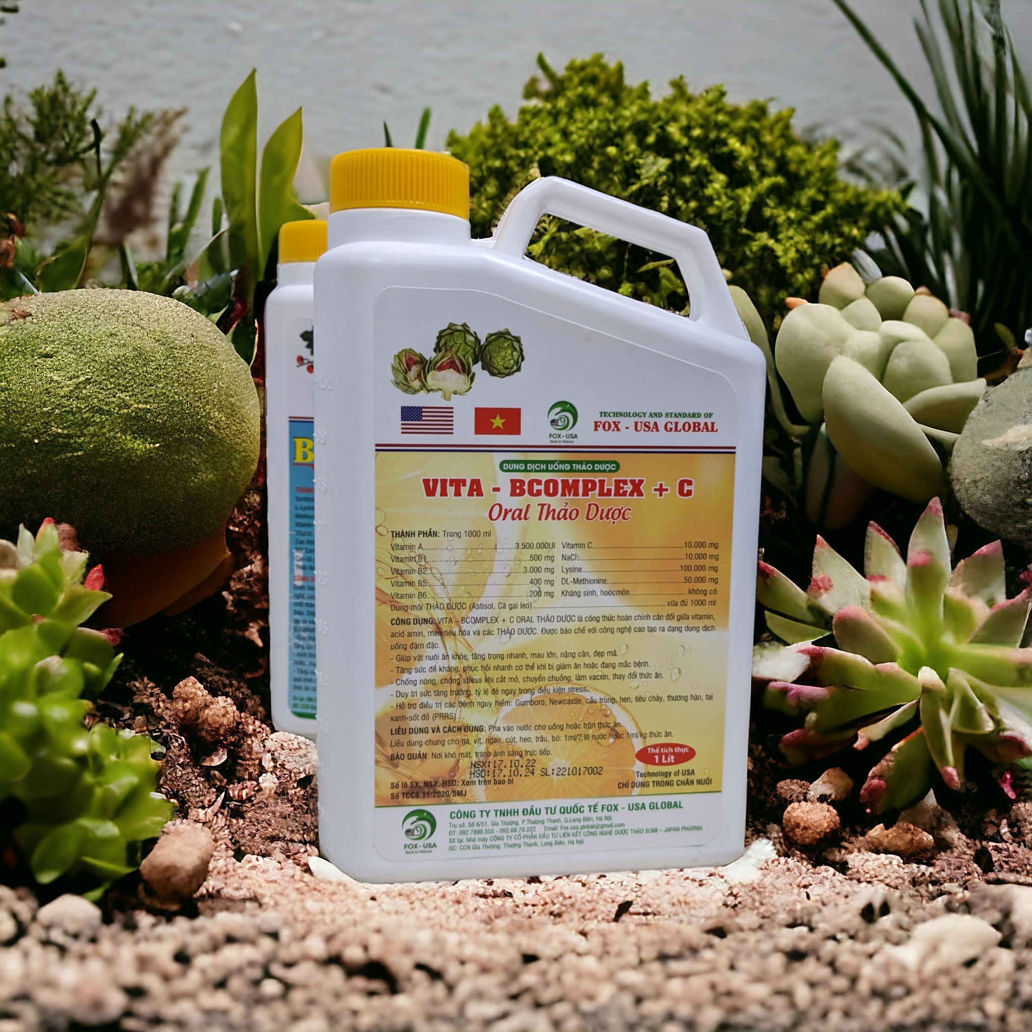 VITA-BCOMPLEX+C | NHÓM DINH DƯỠNG BỔ SUNG HỖ TRỢ ĐIỀU TRỊ BỆNH DẠNG DUNG DỊCH UỐNG - Ảnh 6