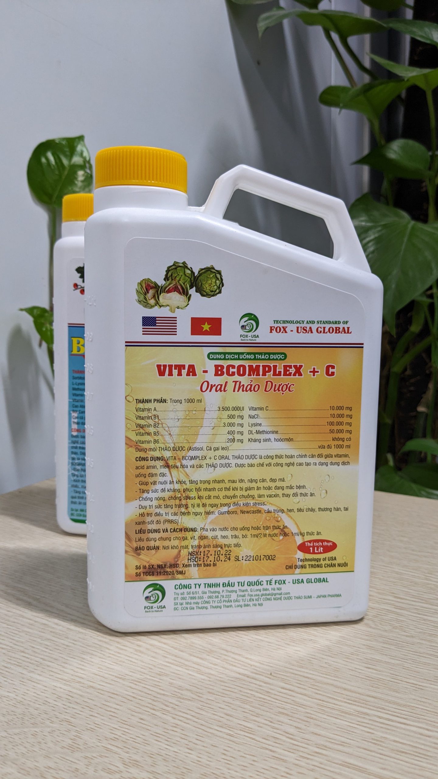 VITA-BCOMPLEX+C | NHÓM DINH DƯỠNG BỔ SUNG HỖ TRỢ ĐIỀU TRỊ BỆNH DẠNG DUNG DỊCH UỐNG - Ảnh 2